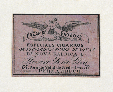 vizualizar o documento on line
